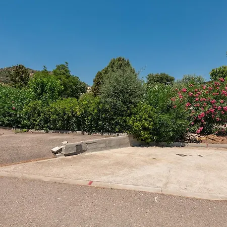 Ulivi 6 * Pula